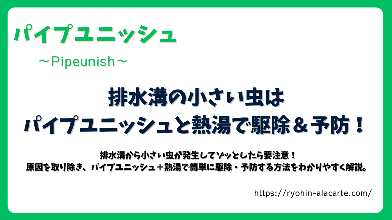 排水溝の小さい虫をパイプユニッシュと熱湯で駆除・予防する方法を紹介する記事アイキャッチ画像